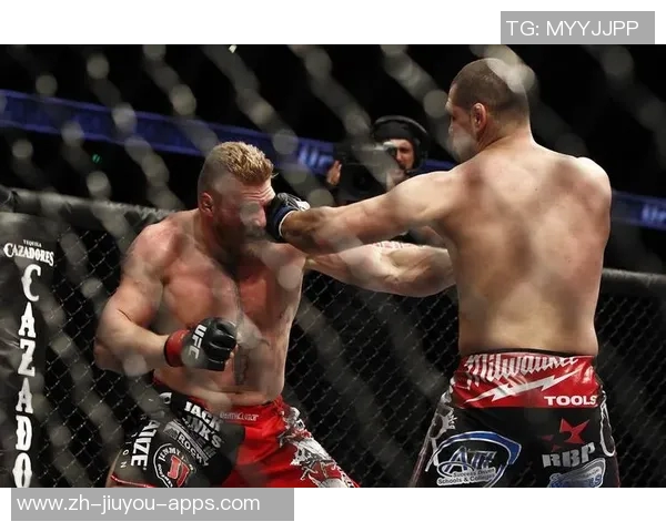 UFC布洛克与凯恩二战的巅峰对决解析与精彩回顾